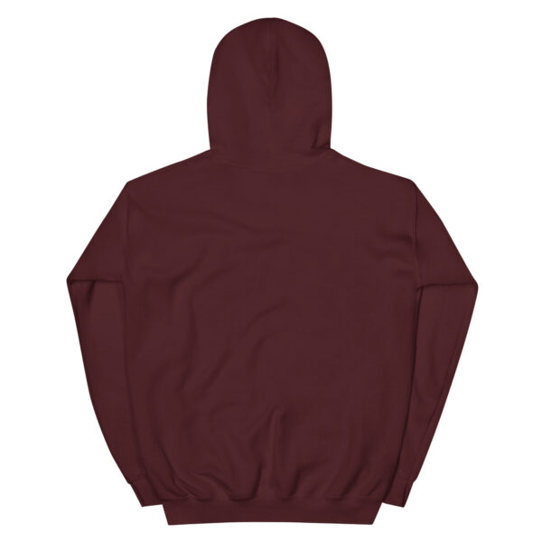 unisex-heavy-blend-hoodie-maroon-back-67d0a933e40e2.jpg